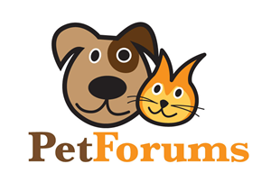 Logo Design by Tiago for this project | Design: #3116377