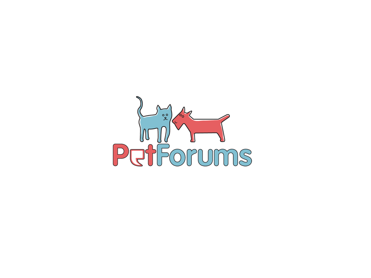 Logo Design by Creative1one for this project | Design #3125700
