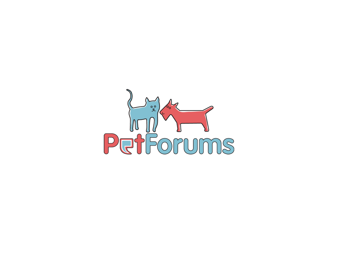 Logo Design by Creative1one for this project | Design #3126399