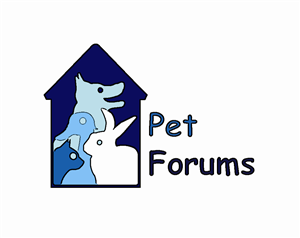 Logo Design by Siti Norain Designs