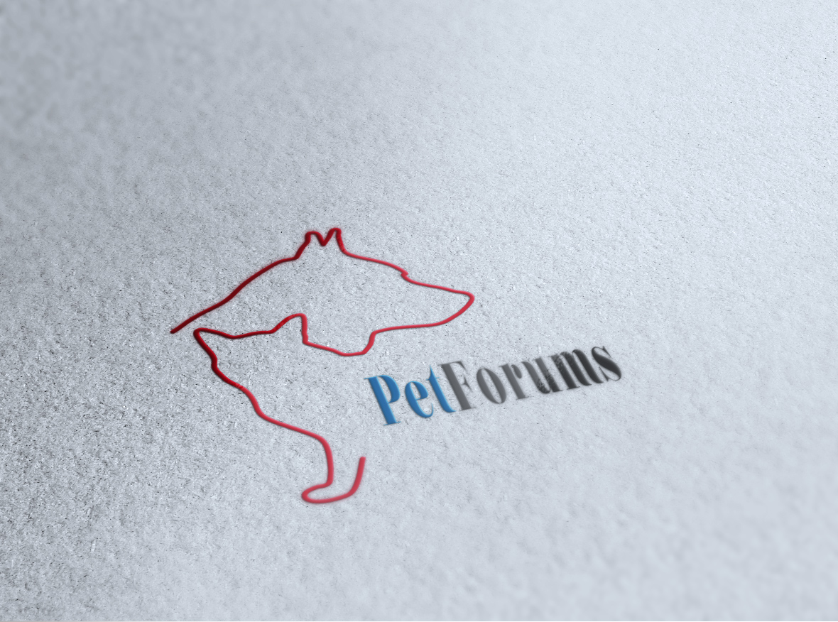 Logo Design by fo2shawy001 for this project | Design #3131238