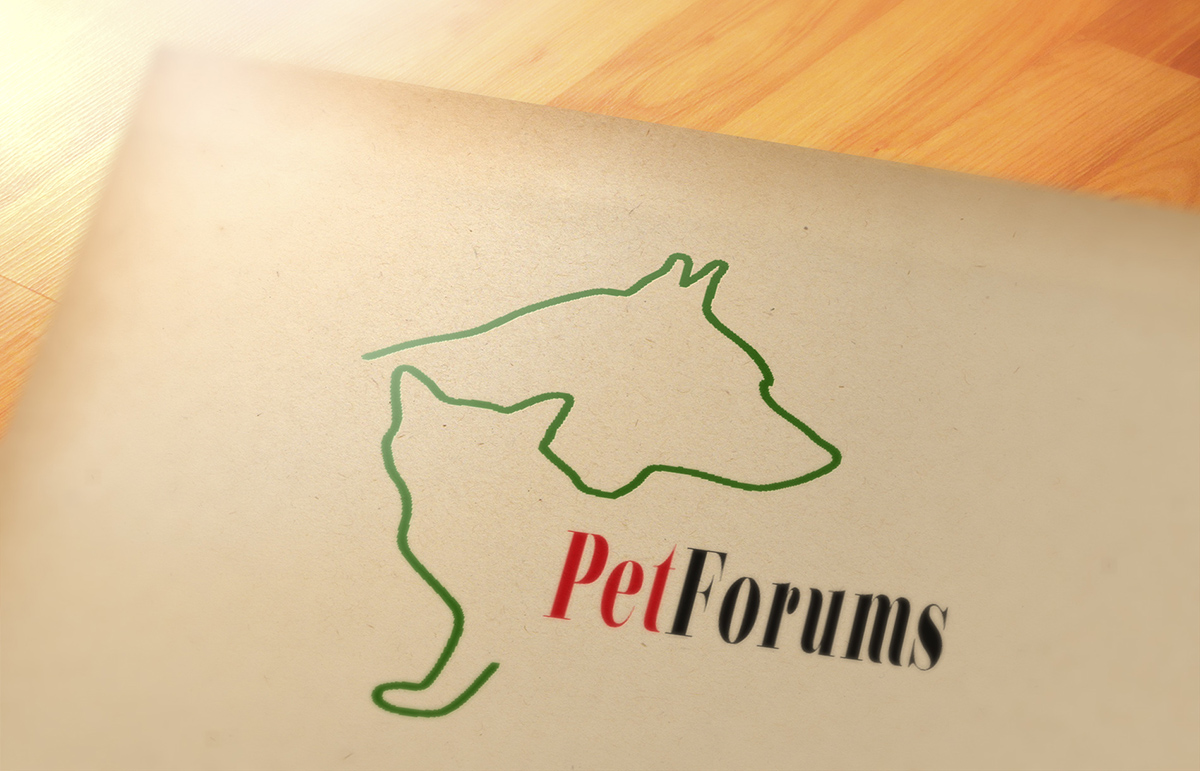 Logo Design by fo2shawy001 for this project | Design #3131263