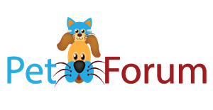 Logo Design by grapestudio for this project | Design: #3114218