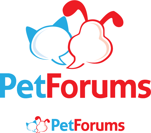 Logo Design by Breanne Owen for this project | Design #3123623