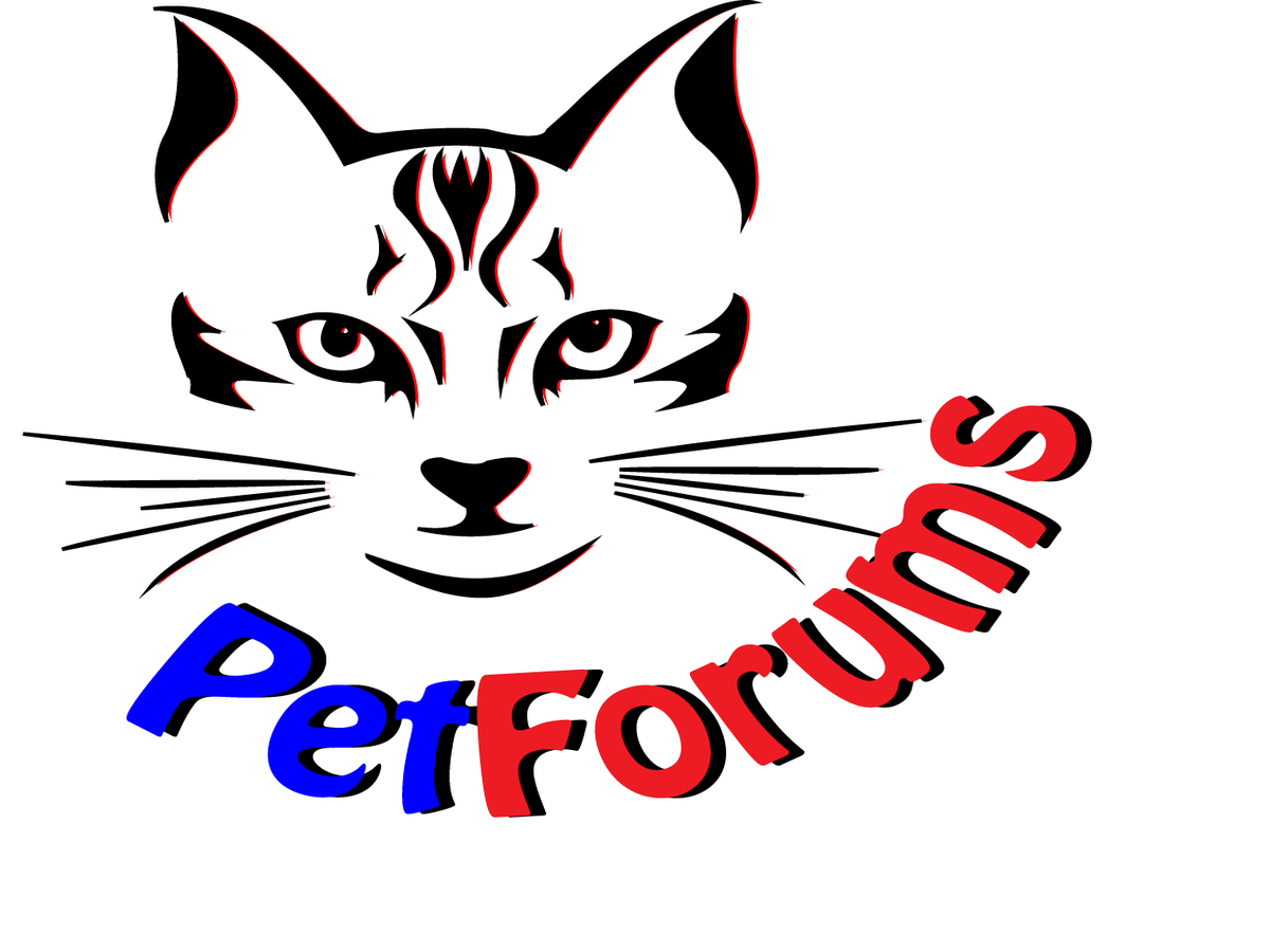 Logo Design by ahuderle1 for this project | Design #3114029