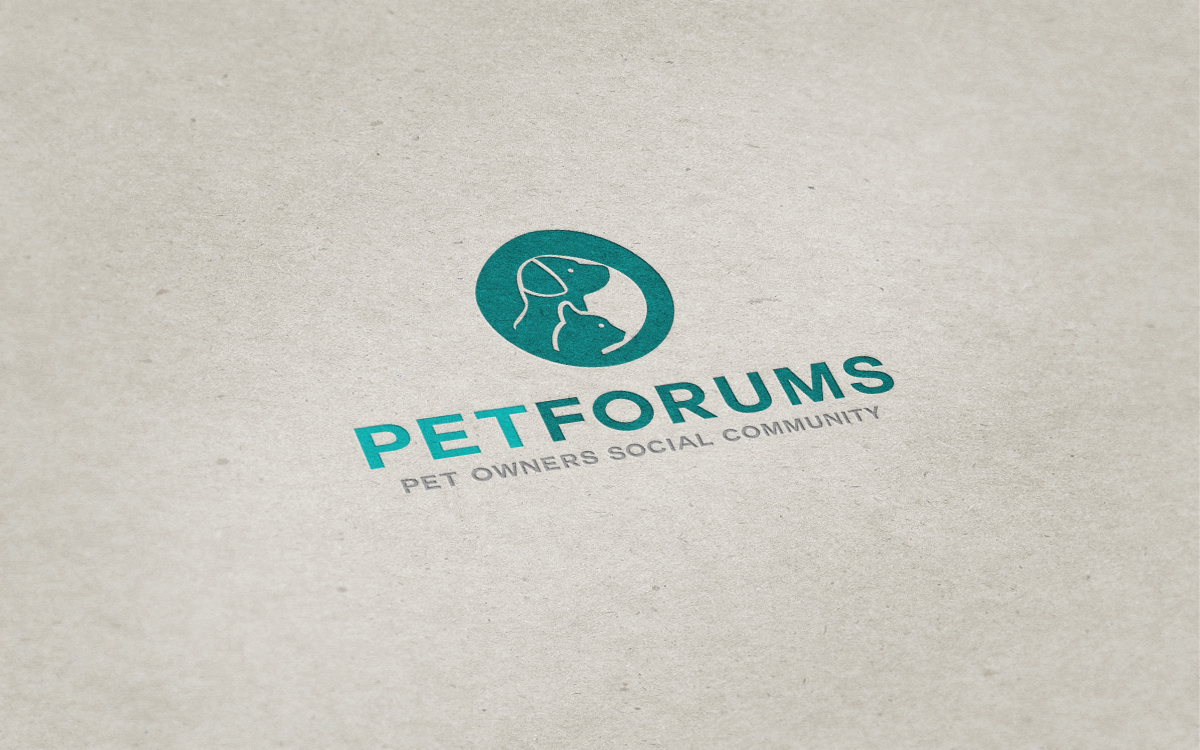 Logo Design by UYwork for this project | Design #3132083