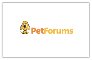 Logo-Design von Giovanni für dieses Projekt | Design #3115529
