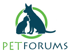 Logo Design by Modine Designs for this project | Design #3114945