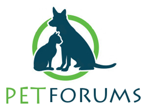 Logo Design by Modine Designs