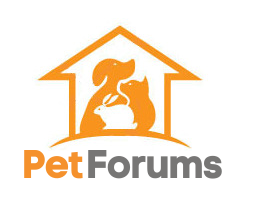 Logo Design by Modine Designs for this project | Design #3115272