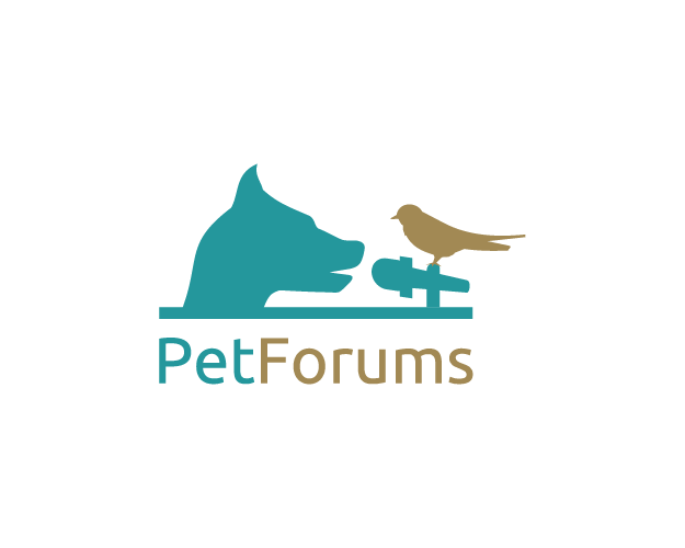Logo Design by 1st for this project | Design #3131031