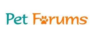 Logo Design by illuminati-design