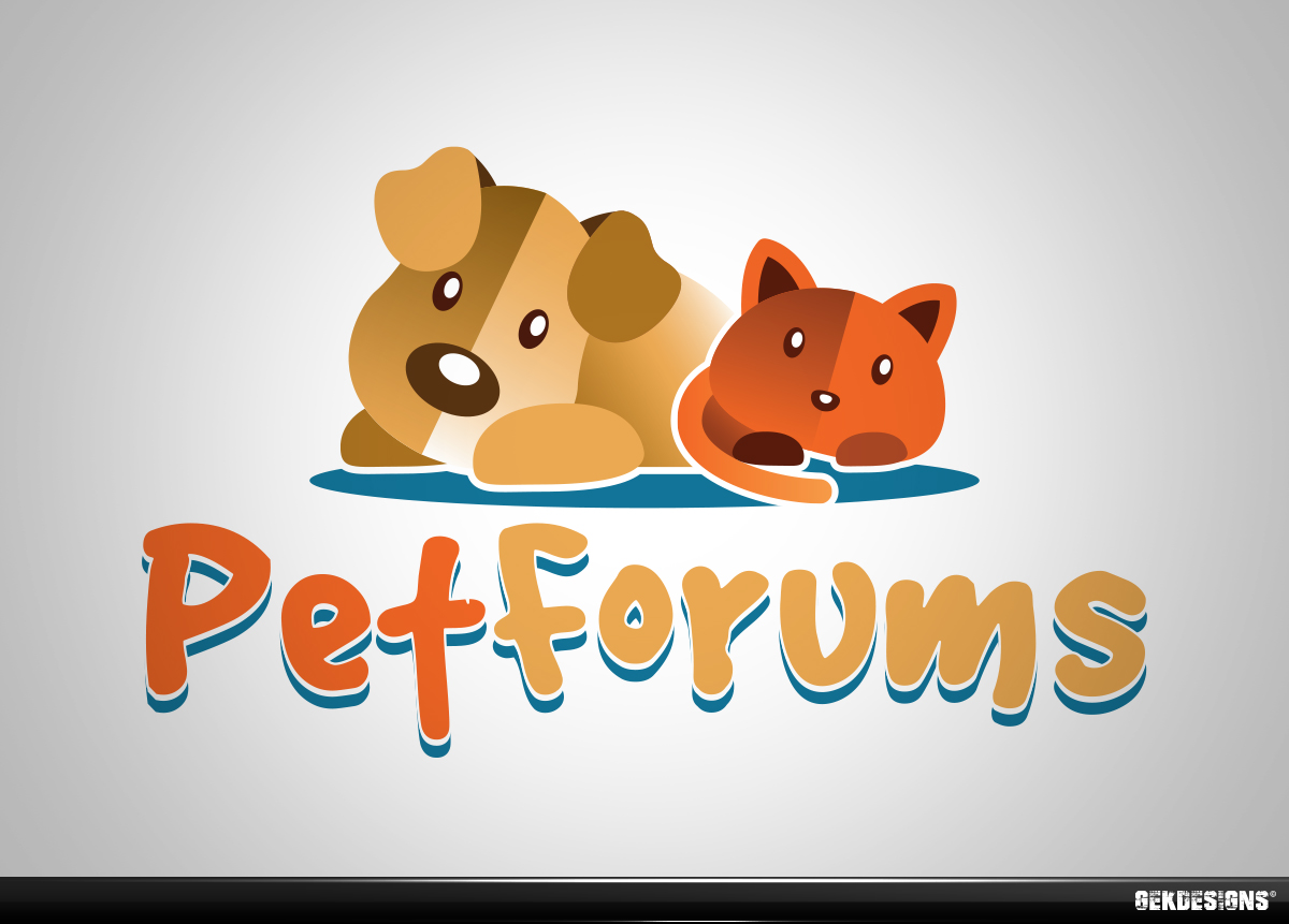 Design de Logo par gekgrfx pour ce projet | Design #3115608