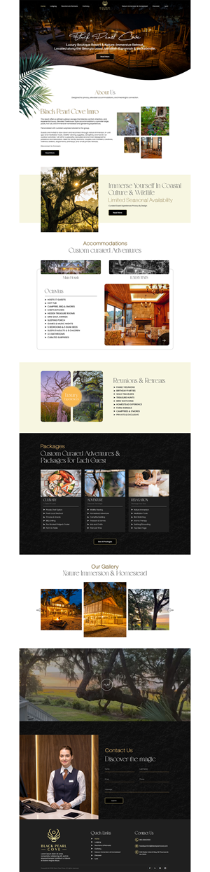 Web Design by Revolt Team