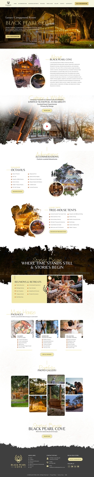 Web Design by Sbss for this project | Design: #36670225