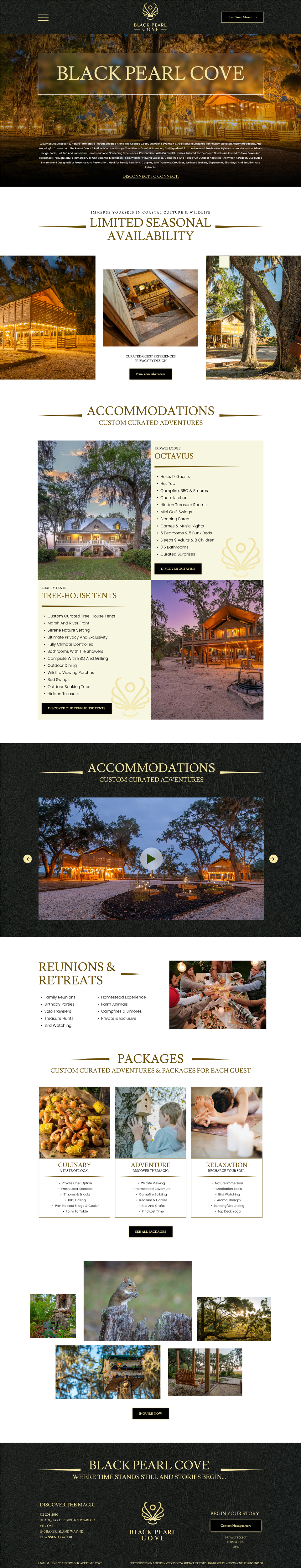 Web Design by victipedia for this project | Design #36689596