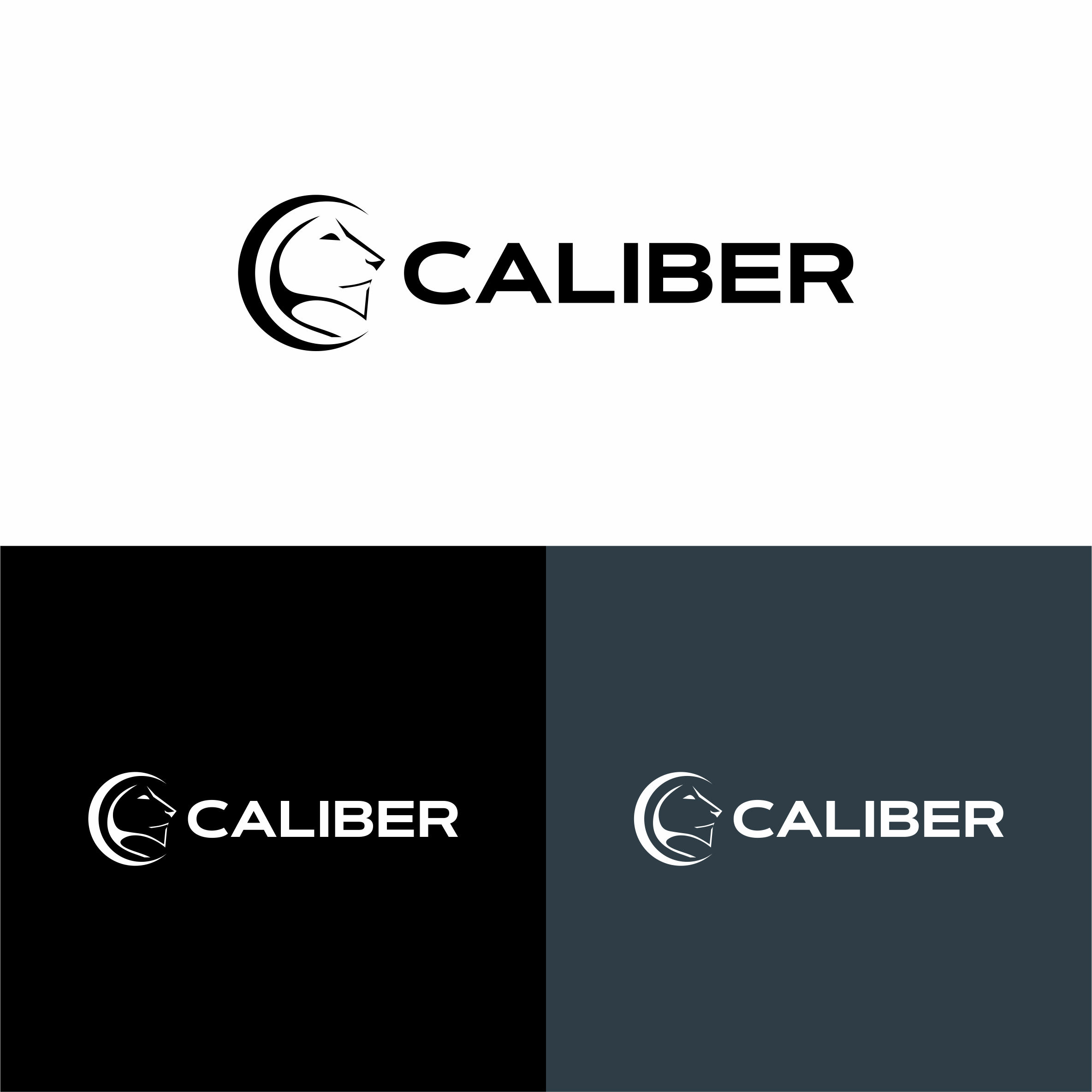 Logo Design by achil78 for this project | Design #36668540