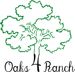 Logo Design by Malibu300 for this project | Design: #36678015