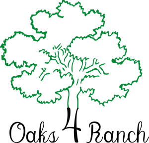 Logo Design by Malibu300 for this project | Design: #36678016