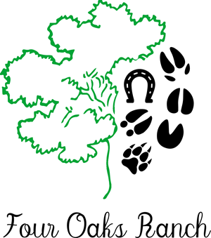 Logo Design by Malibu300 for this project | Design: #36695218