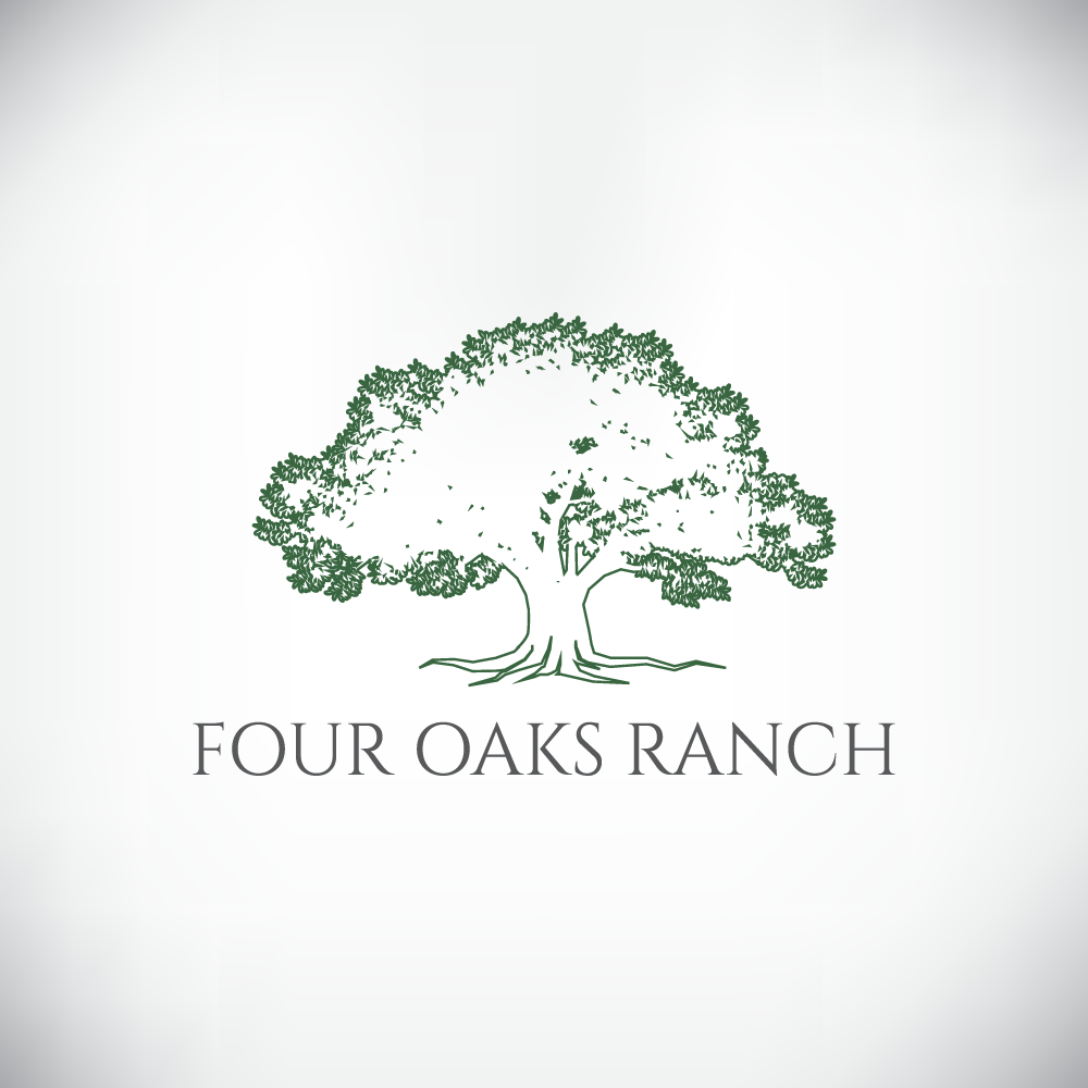 Logo Design by howi for this project | Design #36676654