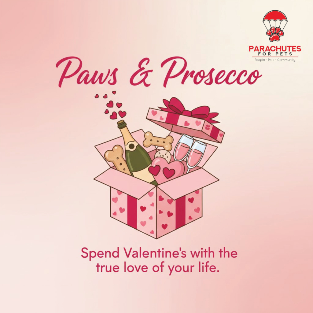 Logo Design by 439 Creations for this project | Design #36666353