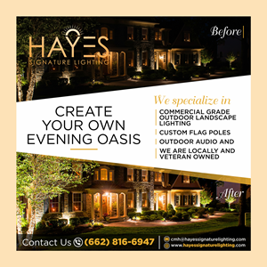 Diseño Publicitario por Aurora:) para Hayes Signature Lighting | Diseño: #36668688