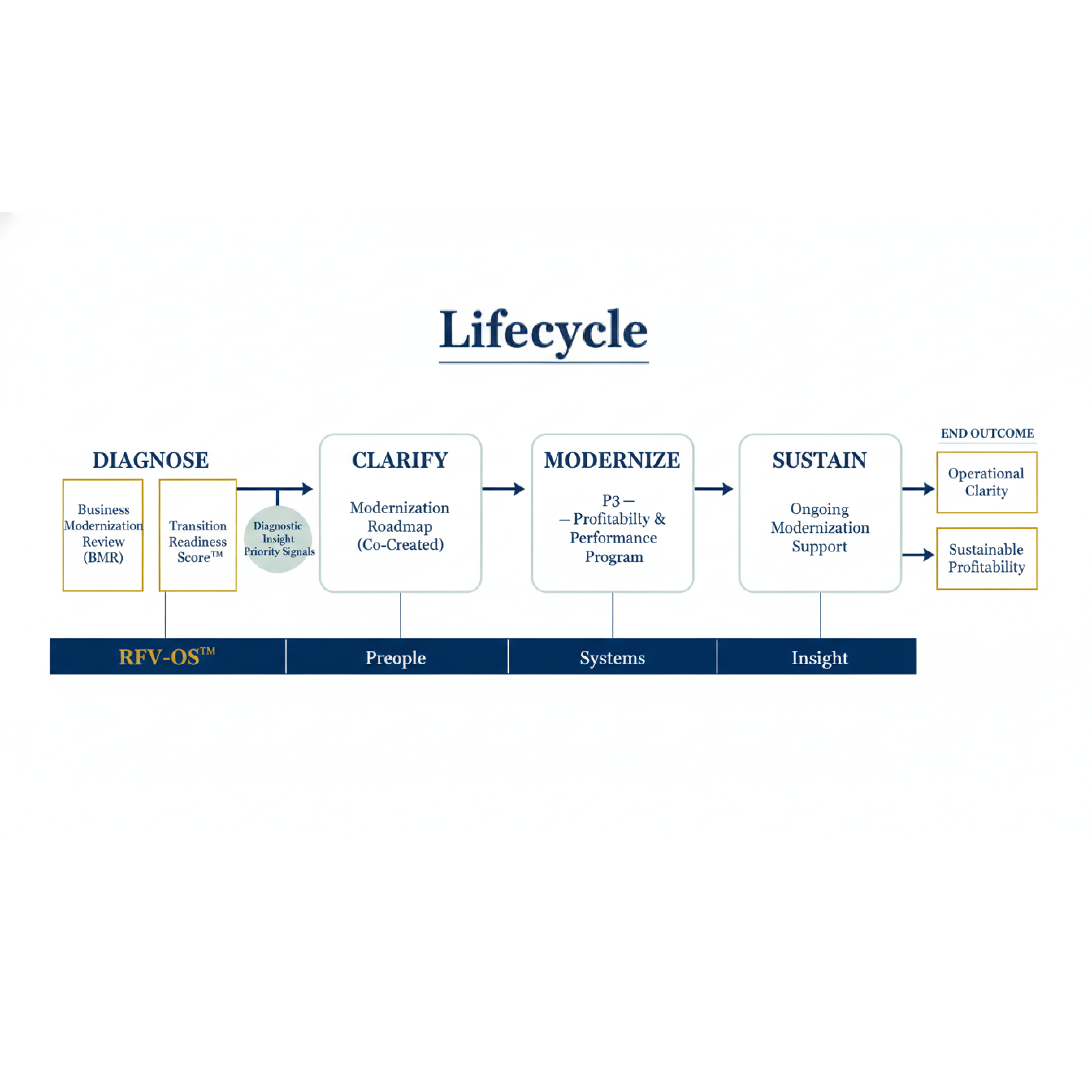 Infographic Design by Freelancertinax for this project | Design #36706728