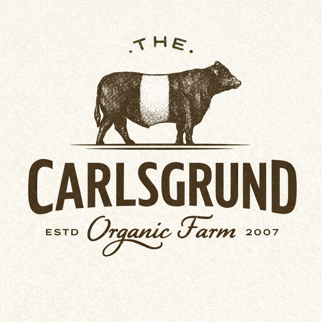 Logo Design by Hashim Creetto for this project | Design #36673794