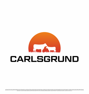 Logo Design by saesean for this project | Design: #36680722