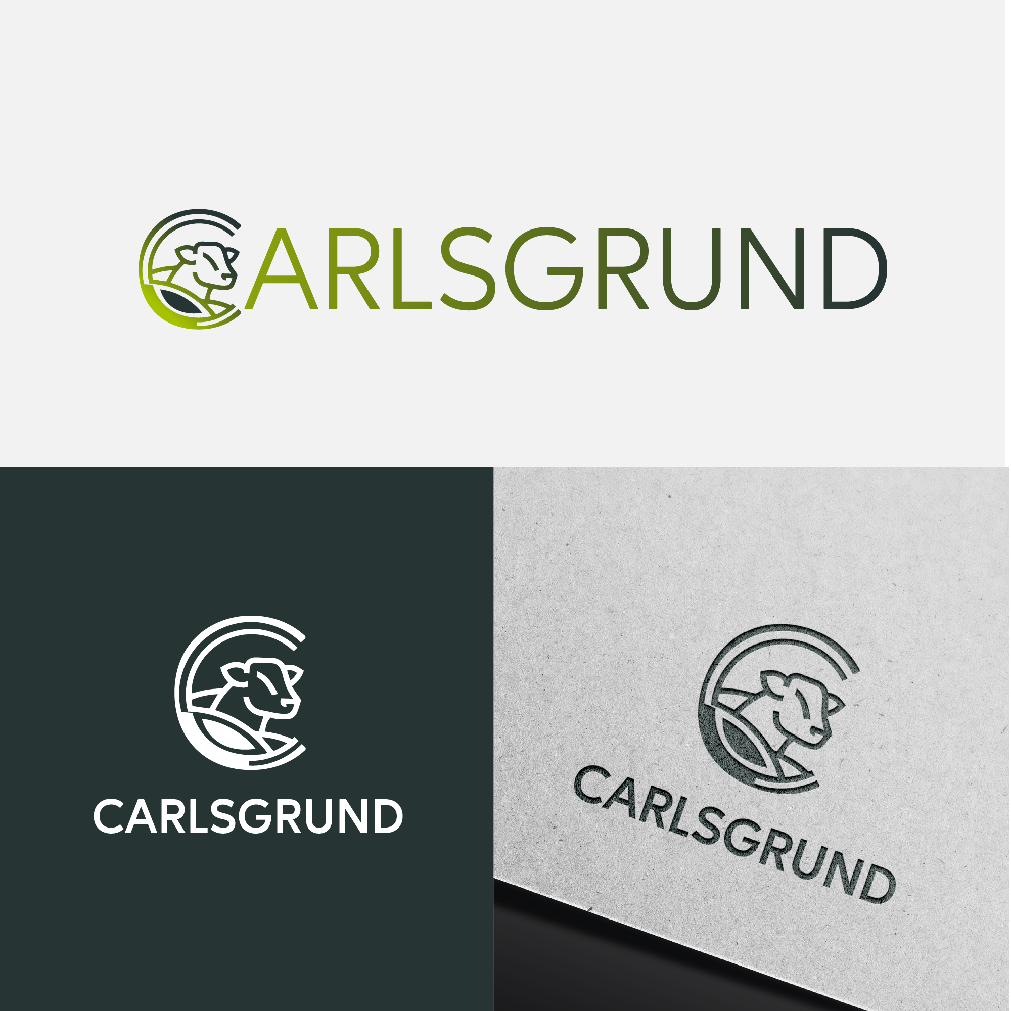 Diseño de Logo por Talha Ahmad para este proyecto | Diseño #36680270