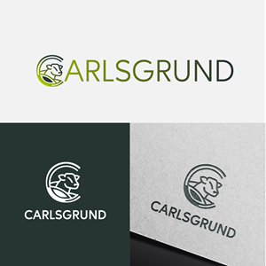 Logo Design by Talha Ahmad