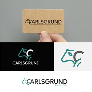 Logo Design by Talha Ahmad for this project | Design: #36680271