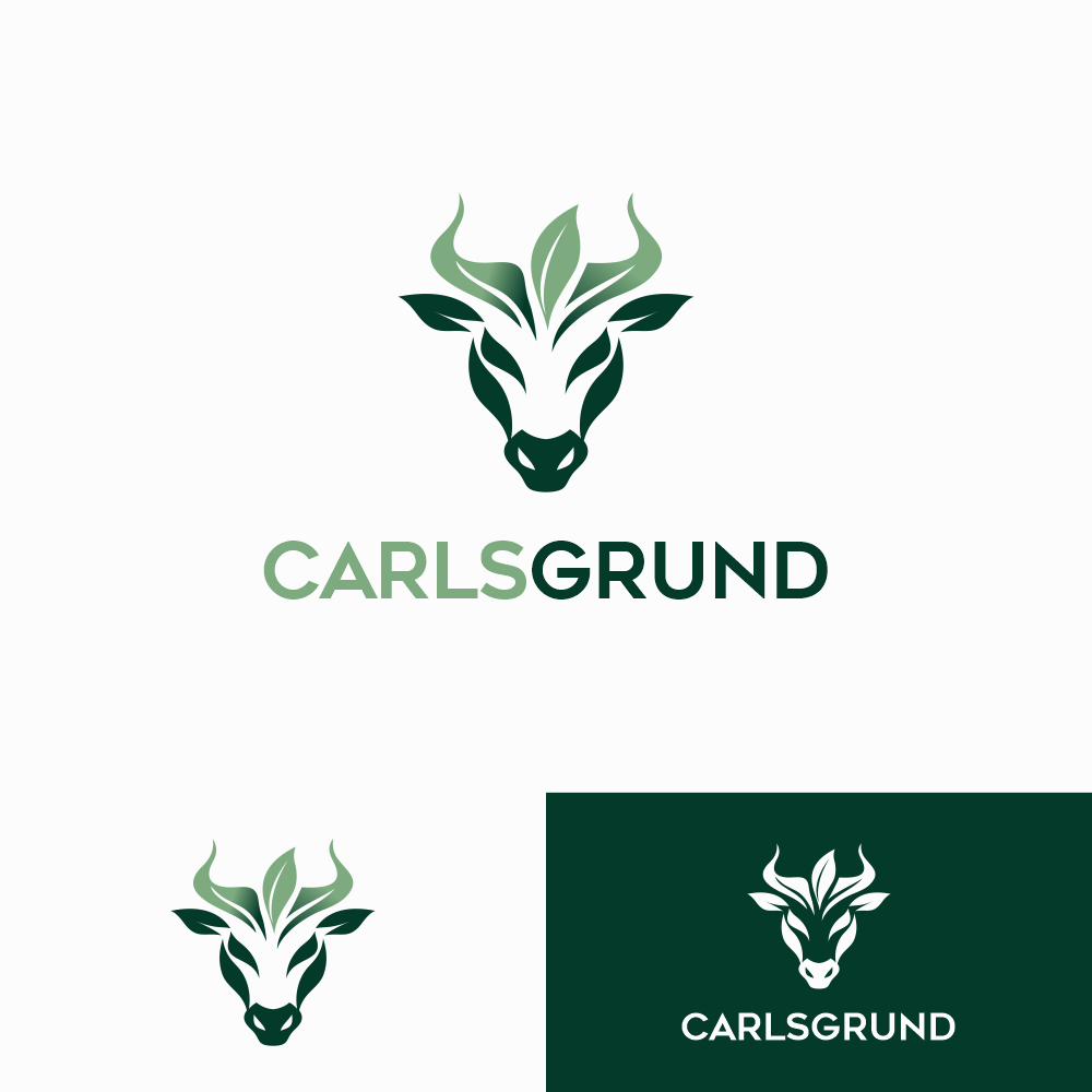 Logo Design by hokkiye for this project | Design #36675798