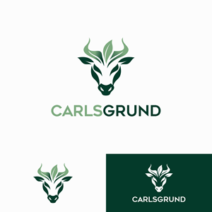 Logo Design by hokkiye for this project | Design: #36675798