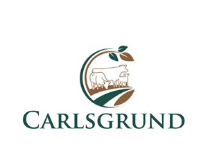 Logo Design by ThemeBoss for this project | Design: #36674469