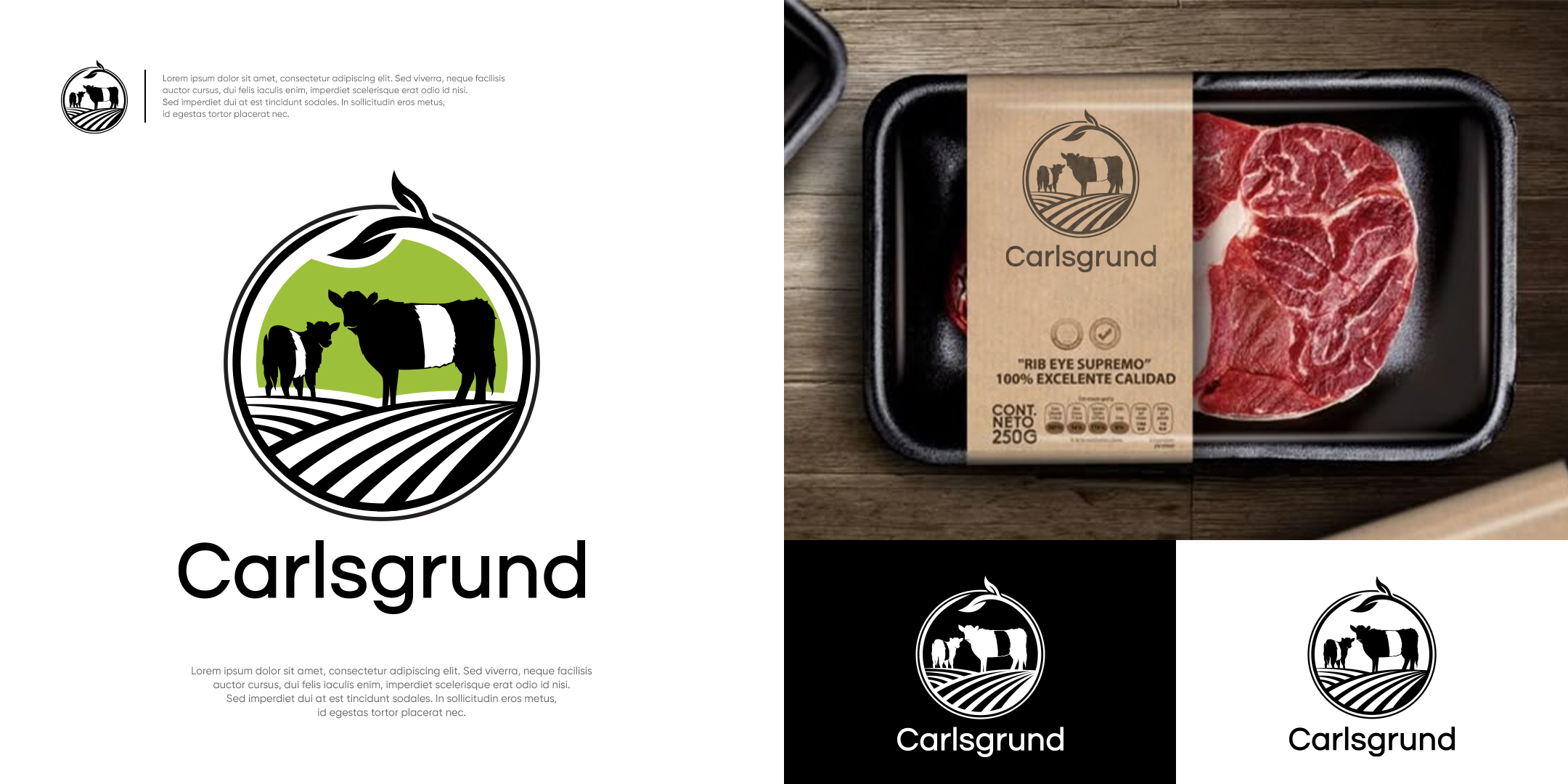 Logo Design by Alf Mozara for this project | Design #36672221