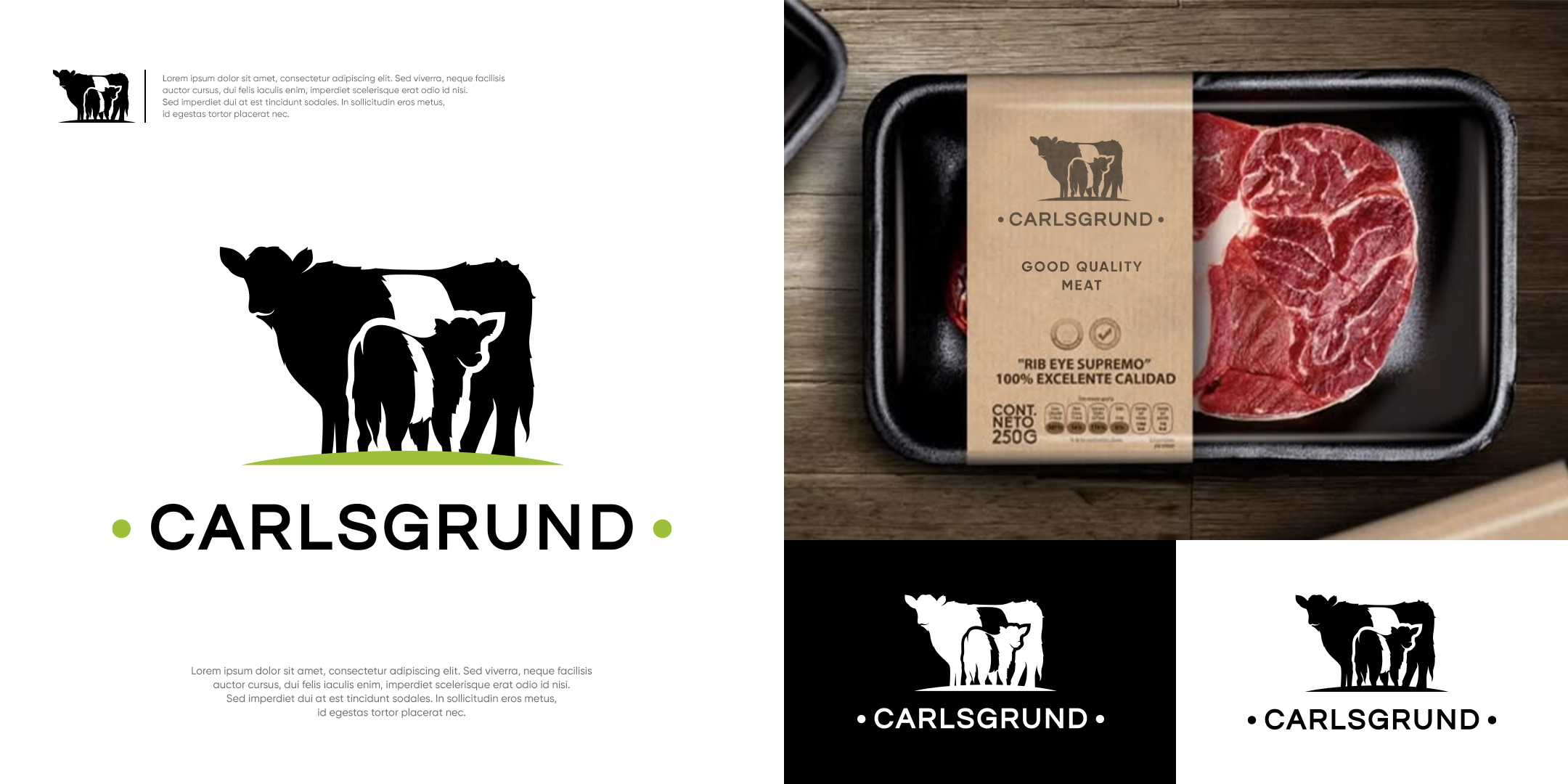 Logo Design by Alf Mozara for this project | Design #36672360