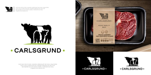 Design de Logo par Alf Mozara pour ce projet | Design : #36672360