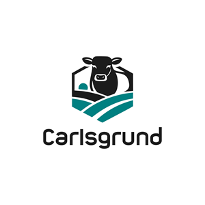 Design de Logo par BANI GD pour ce projet | Design : #36672509