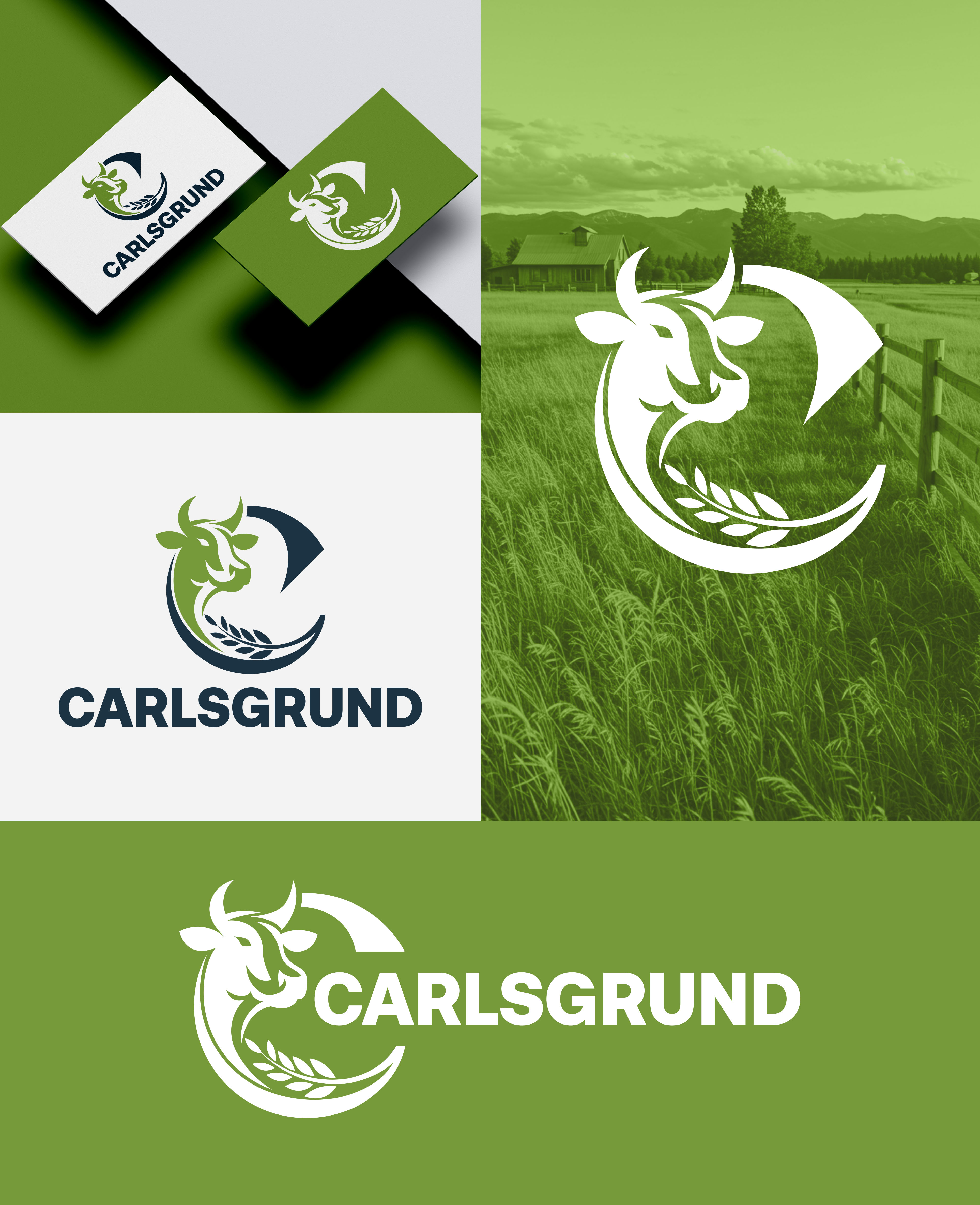 Logo Design by aexoagency for this project | Design #36673434