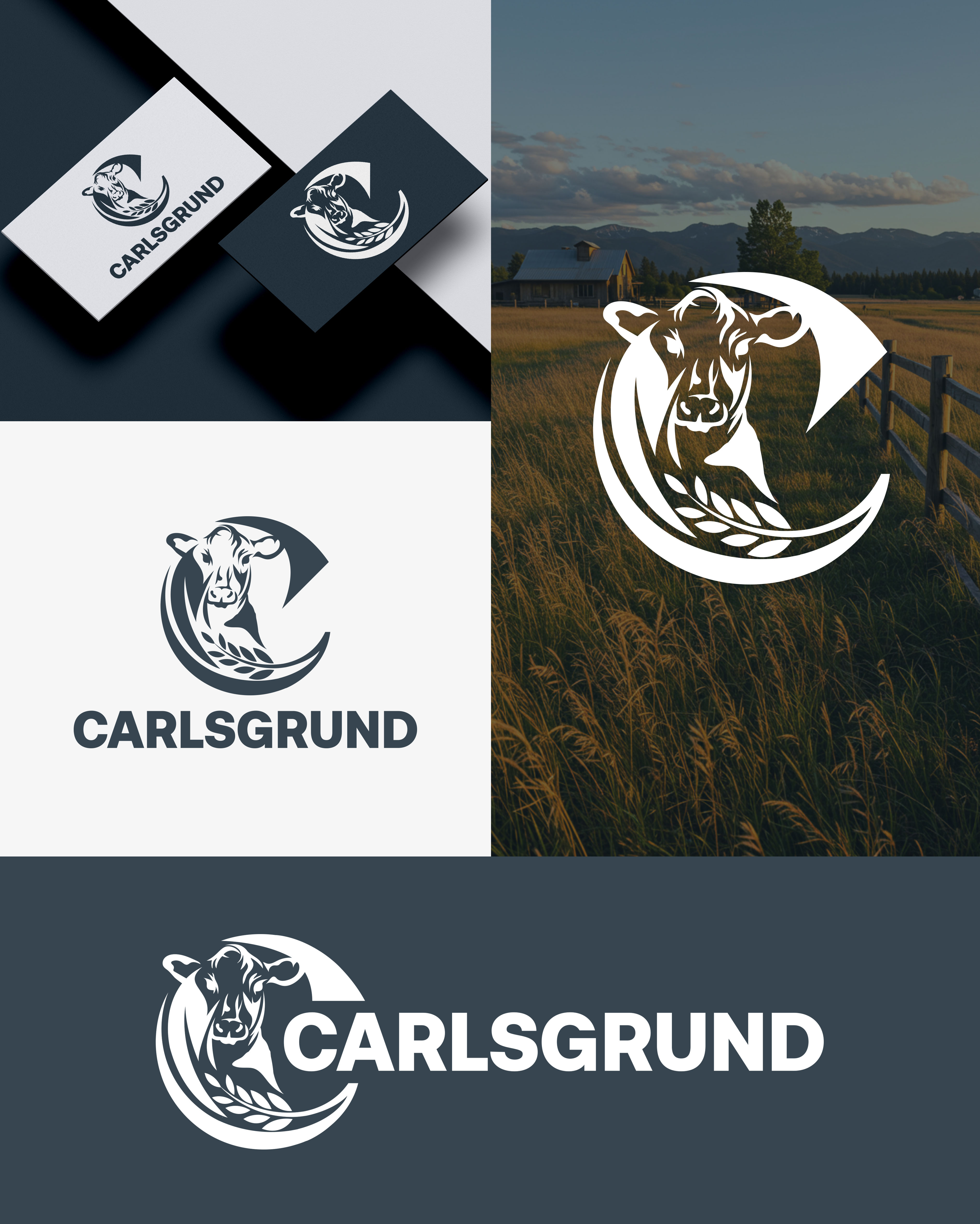 Logo Design by aexoagency for this project | Design #36678850