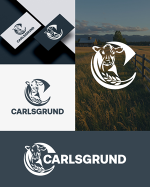 Design de Logo par aexoagency pour ce projet | Design : #36678850