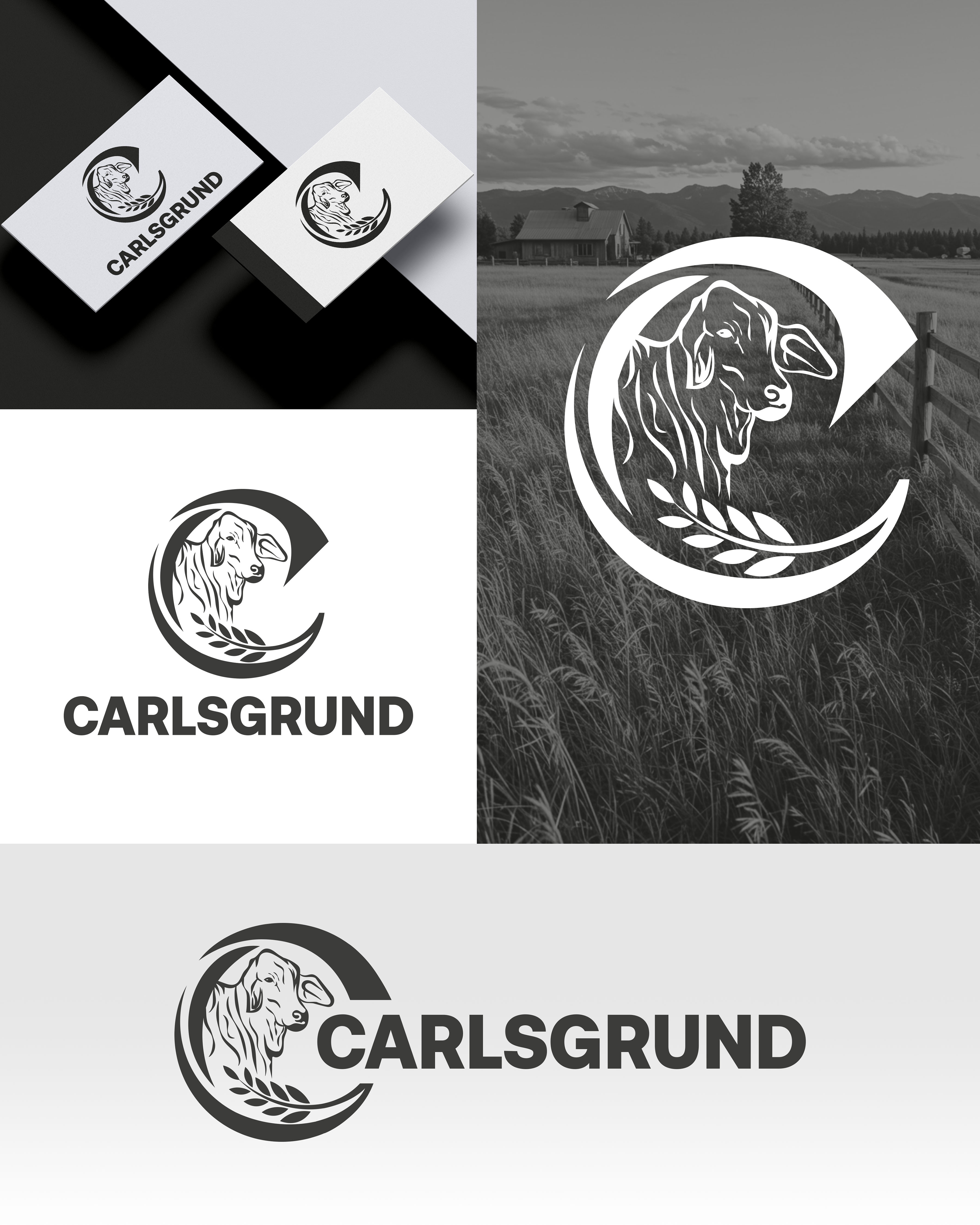 Logo Design by aexoagency for this project | Design #36679375