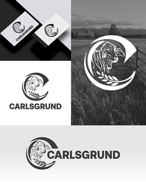 Design de Logo par aexoagency pour ce projet | Design : #36679375