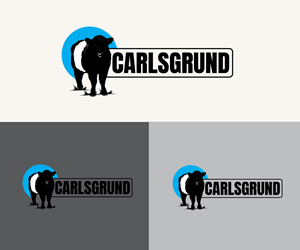 Design de Logo par Ansh Design pour ce projet | Design : #36675476