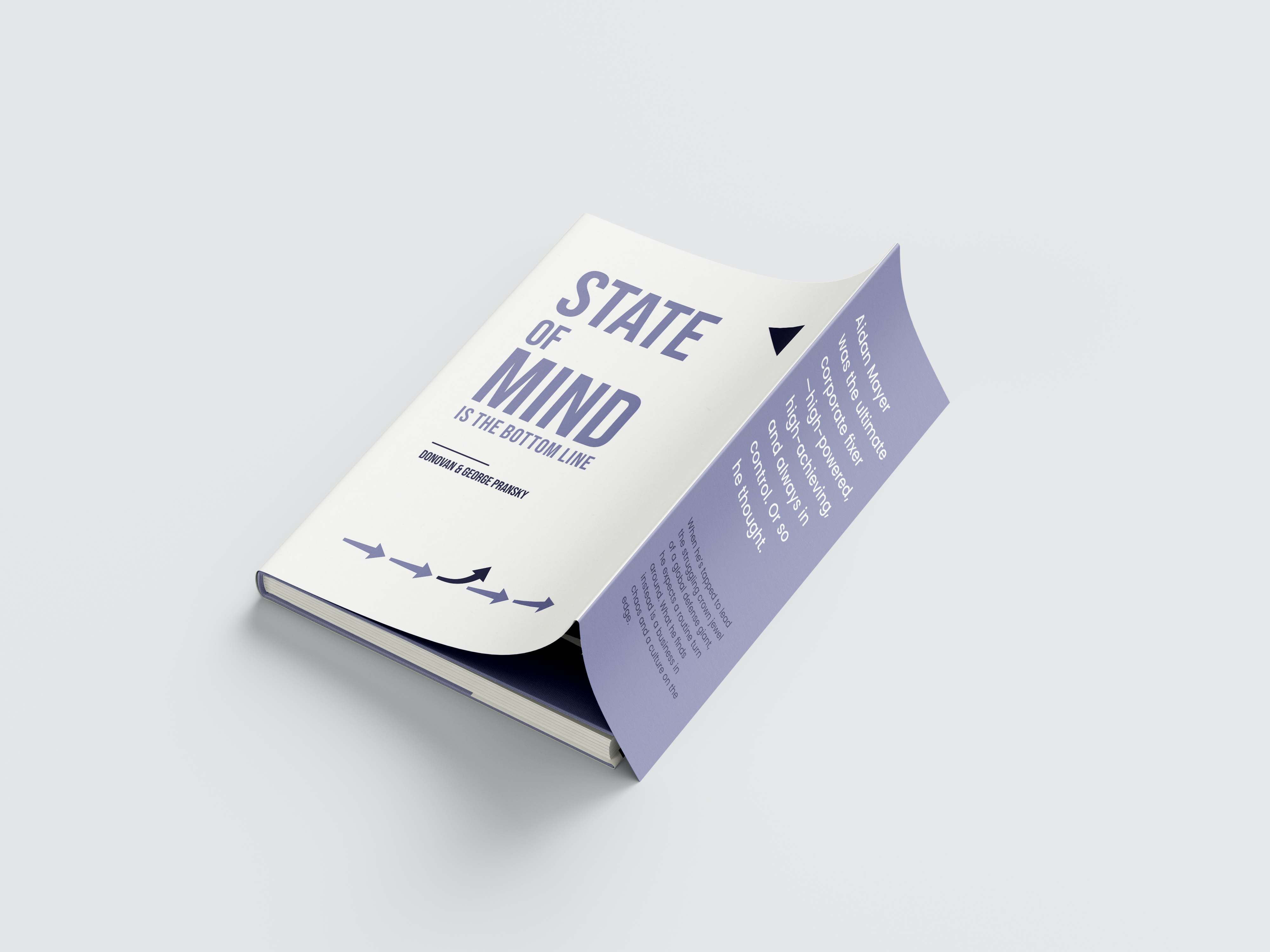 Book Cover Design by dadaMEDIA for Pransky and Associates | Design #36749277