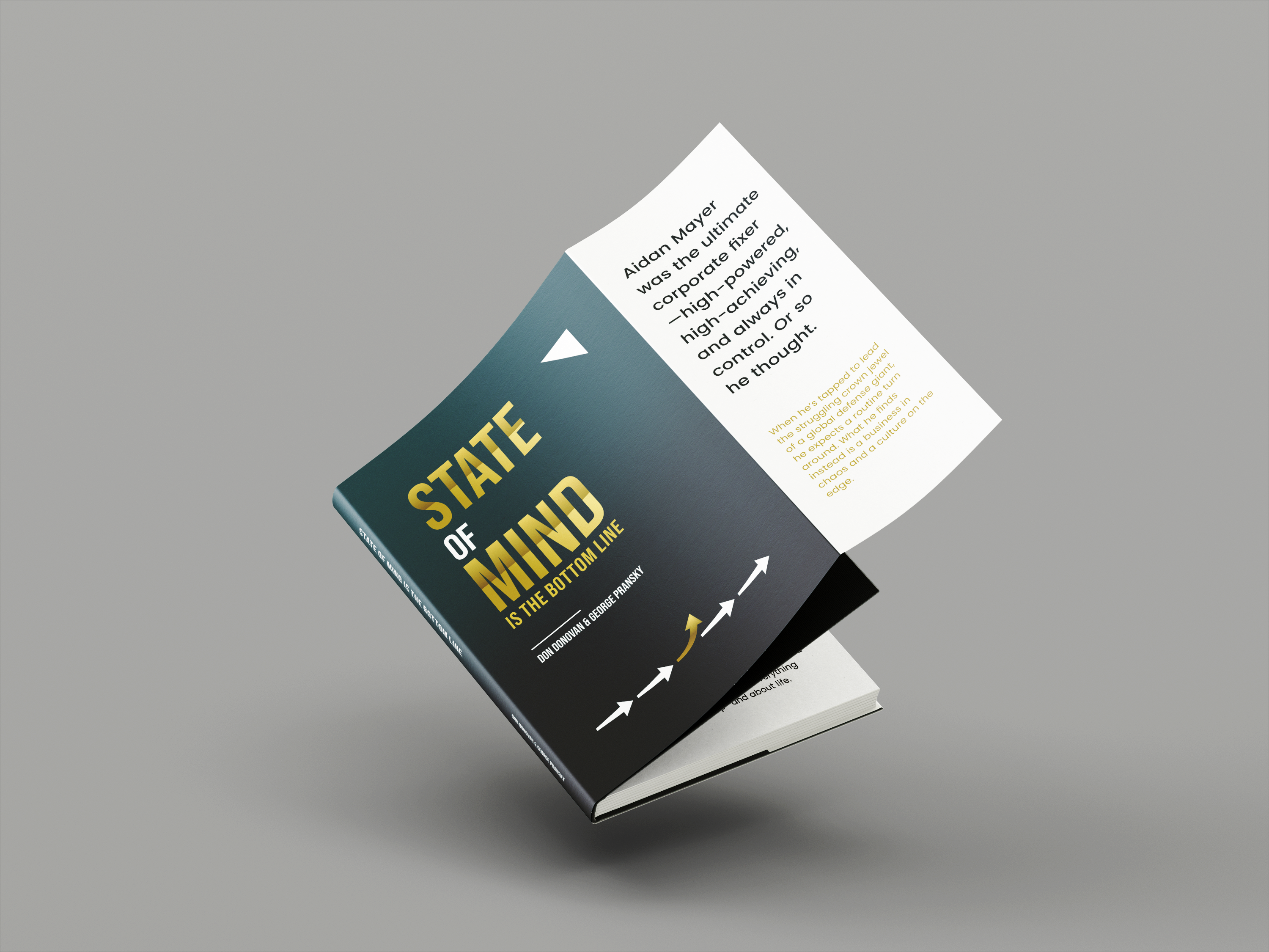 Book Cover Design by dadaMEDIA for Pransky and Associates | Design #36801915