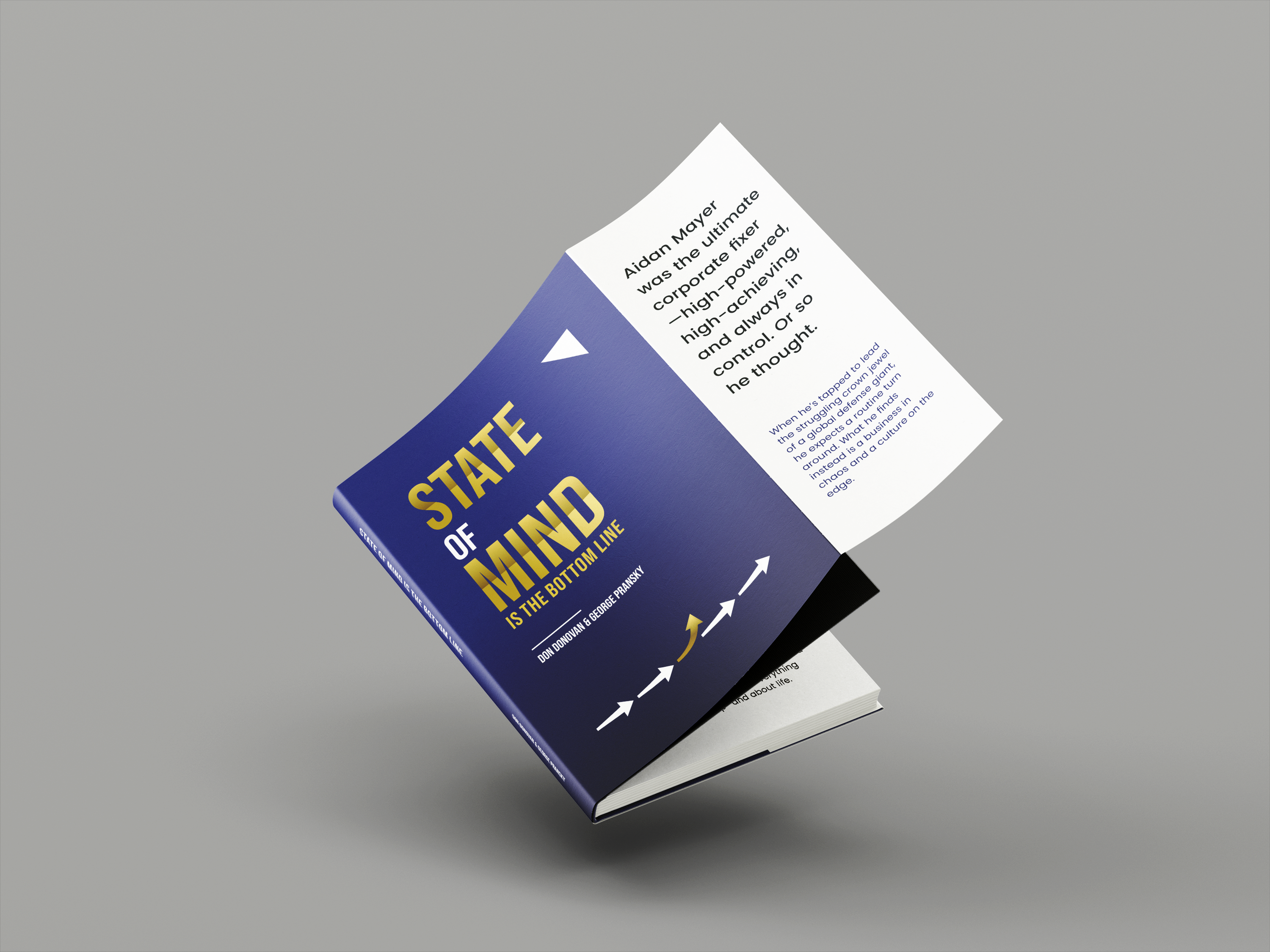 Book Cover Design by dadaMEDIA for Pransky and Associates | Design #36803158