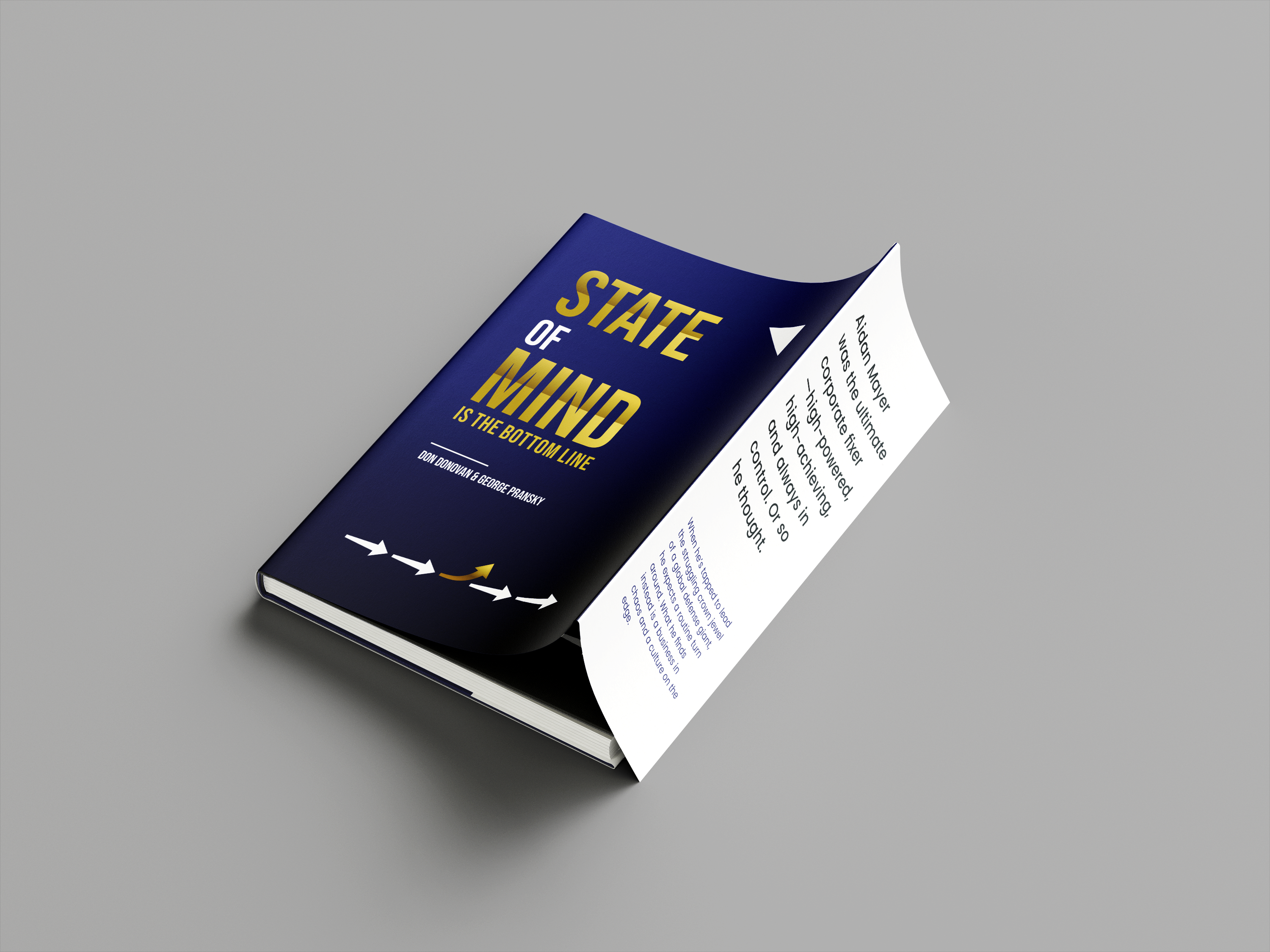 Book Cover Design by dadaMEDIA for Pransky and Associates | Design #36803159